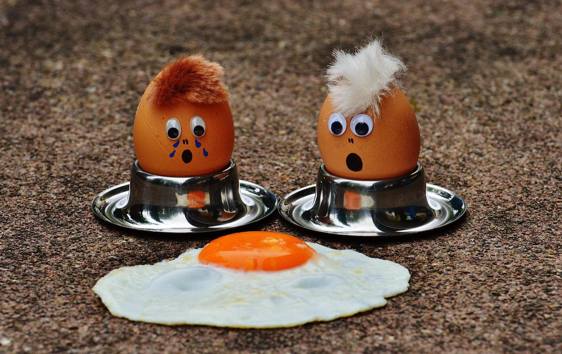 Egg for Newborn